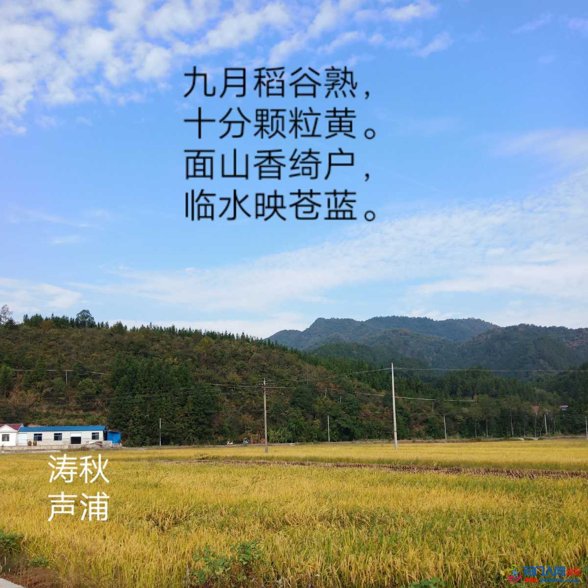 IMG_20211010_201416.jpeg