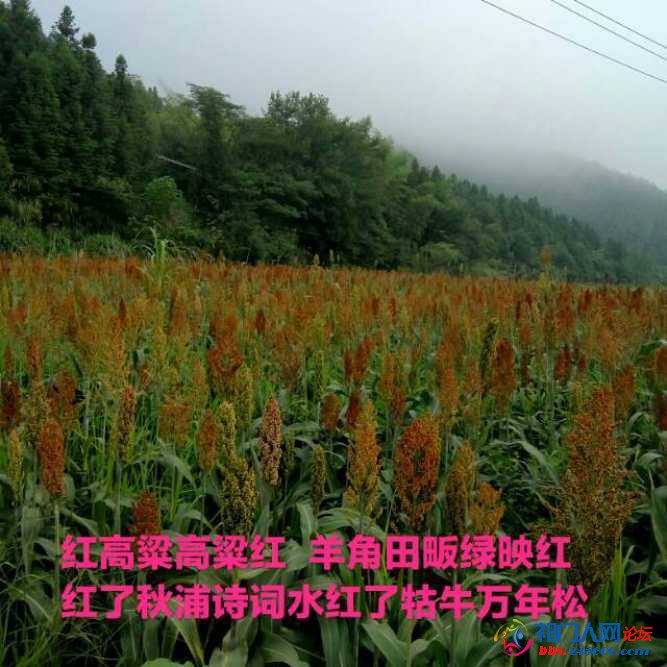 IMG_20211010_201356.jpeg