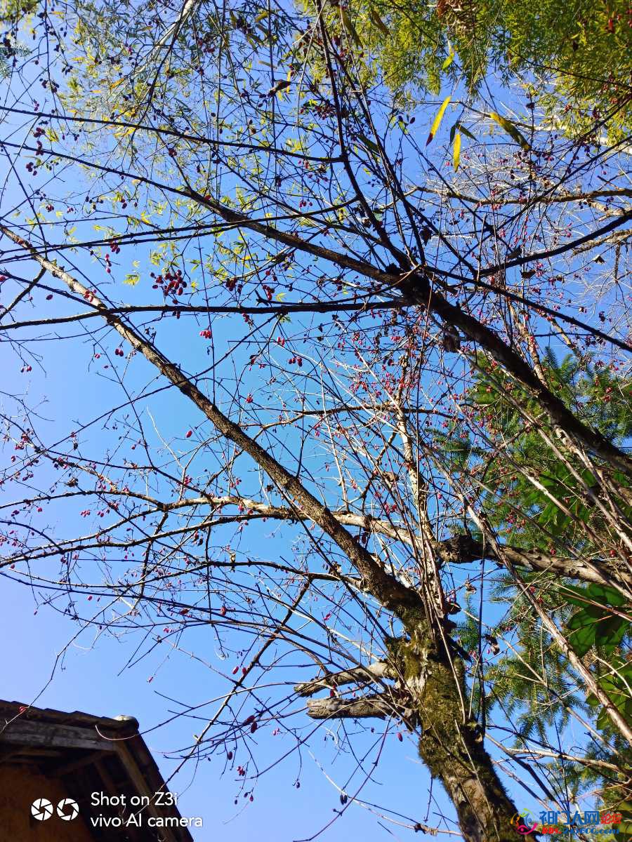 IMG_20211124_112551.jpg
