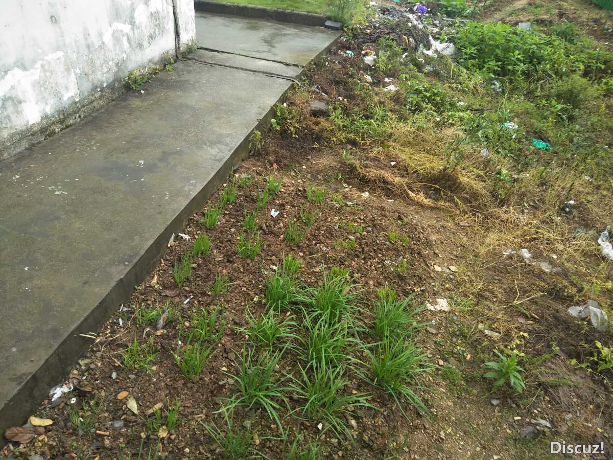 IMG20220515071805.jpg