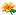 flower.gif