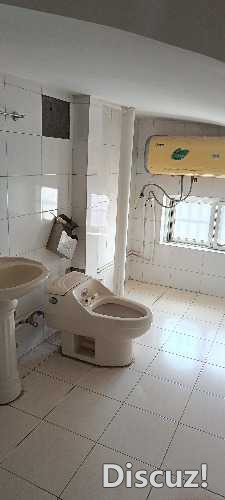 IMG_20250714_123749.jpg