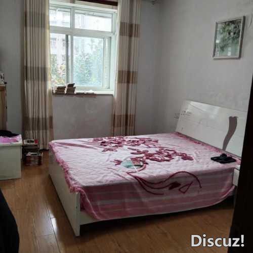120137hxl22pideldcg4z2.jpg